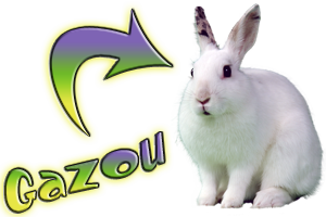 Gazou le lapin